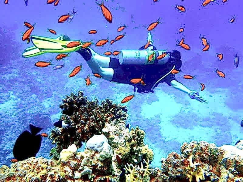 15-22 Temmuz 2018 Kızıldeniz Dalış Turu