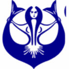 Sektörü / Firma Adı