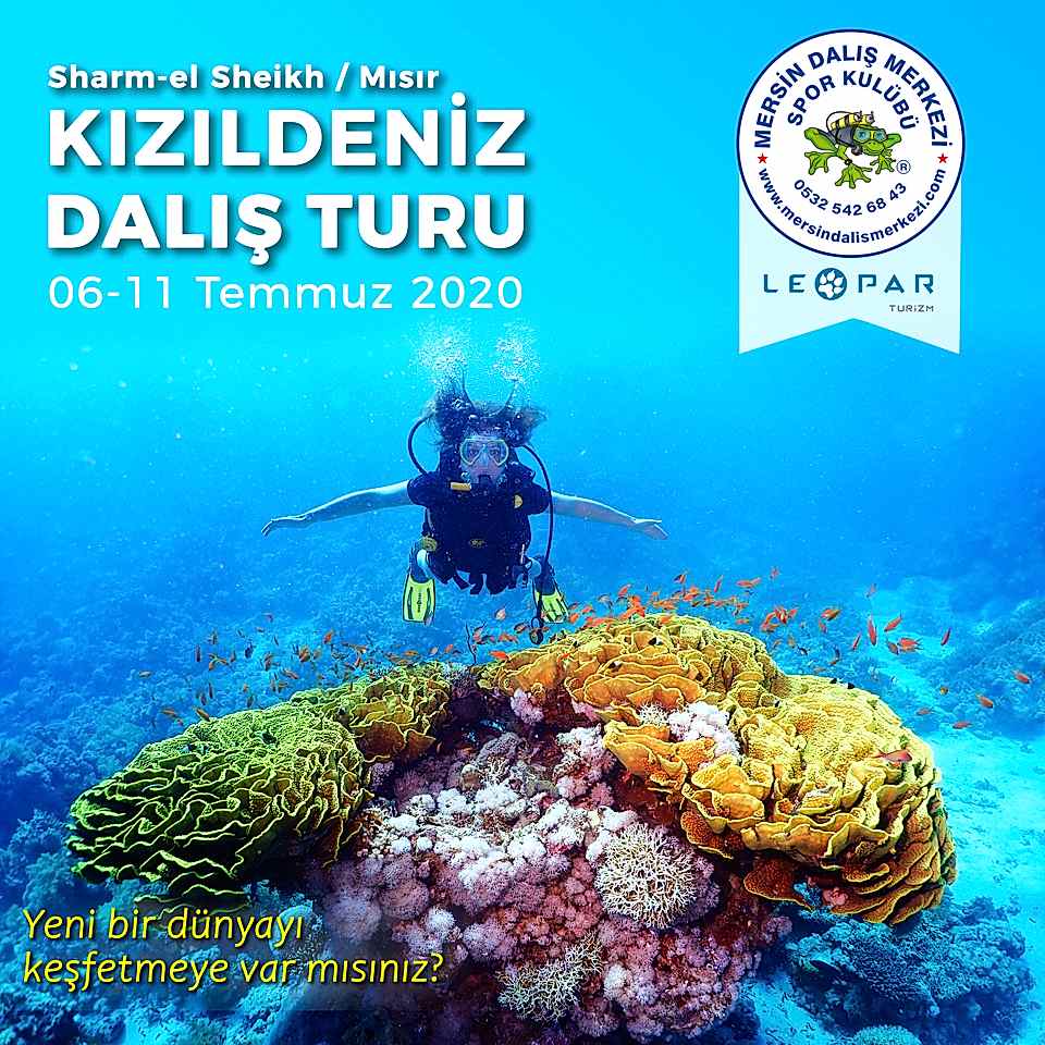 Kızıl Deniz Turu 2020